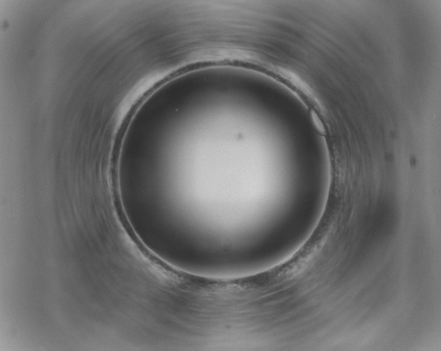 X0000070240943200606051121