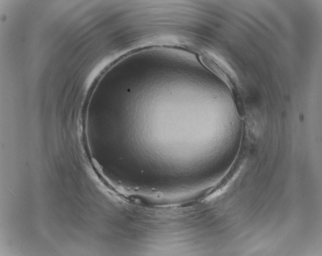 X0000070240944200606051121