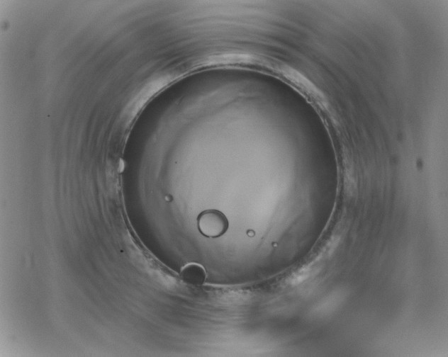 X0000070240945200606051121