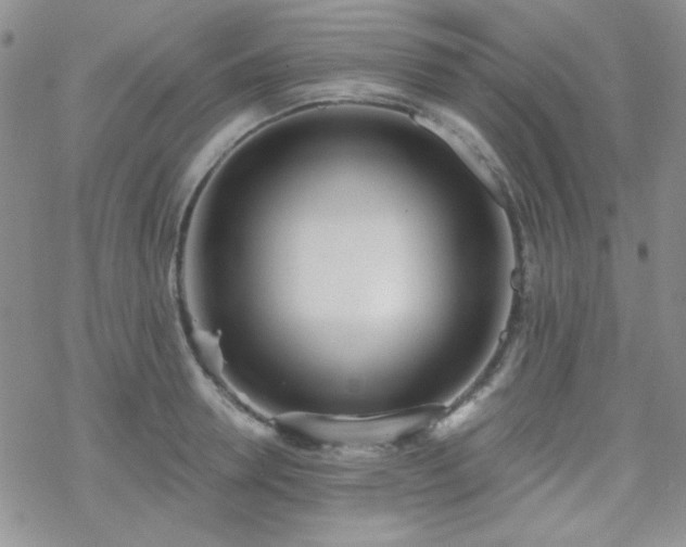 X0000070240946200606051121