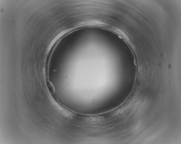 X0000070240947200606051121