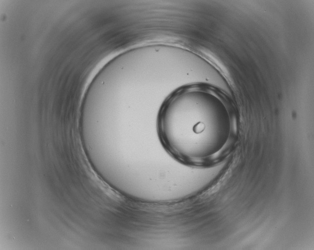 X0000070240948200606051121