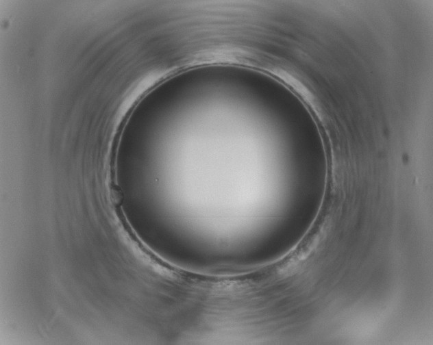 X0000070240949200606051121