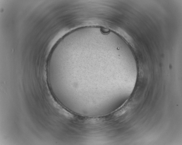 X0000070240950200606051121