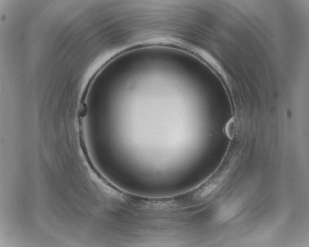 X0000070240951200606051121