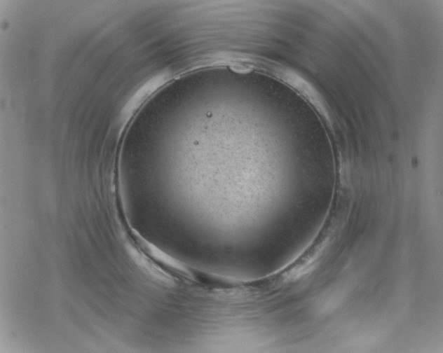 X0000070240954200606051121