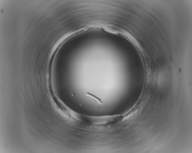 X0000070240955200606051121