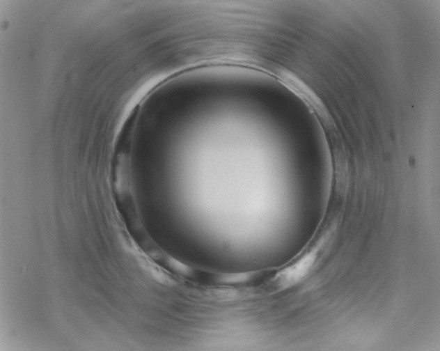 X0000070240956200606051121