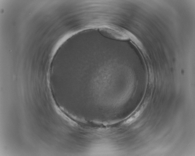 X0000070240958200606051121