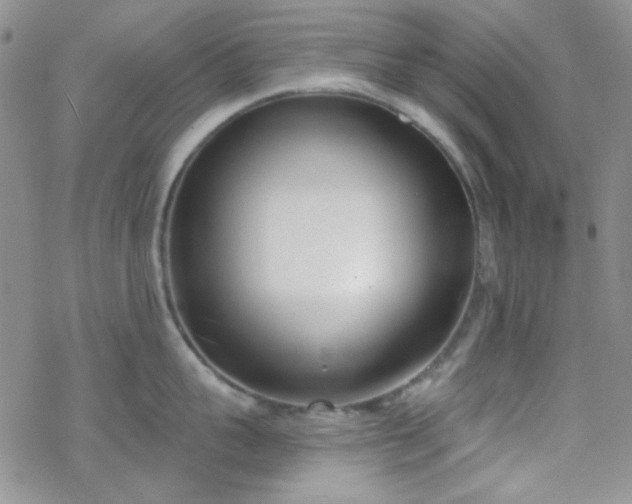 X0000070240959200606051121