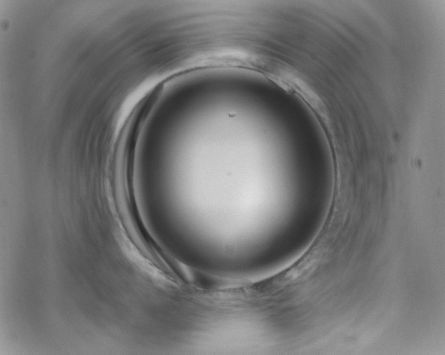 X0000070240960200606051121