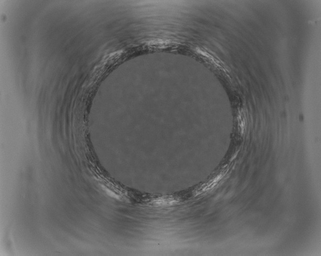 X0000070240961200606051121