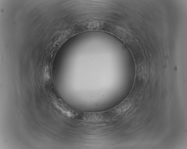 X0000070240962200606051121