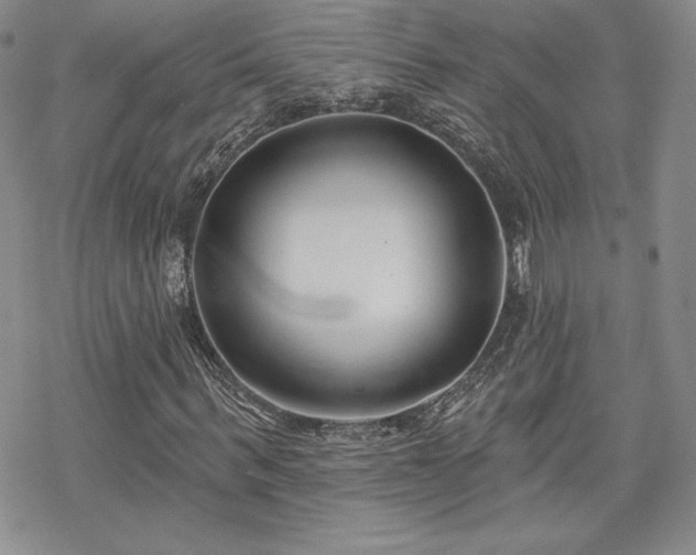 X0000070240963200606051121