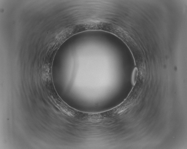 X0000070240964200606051121