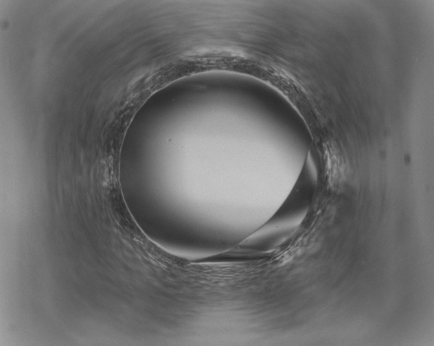 X0000070240965200606051121