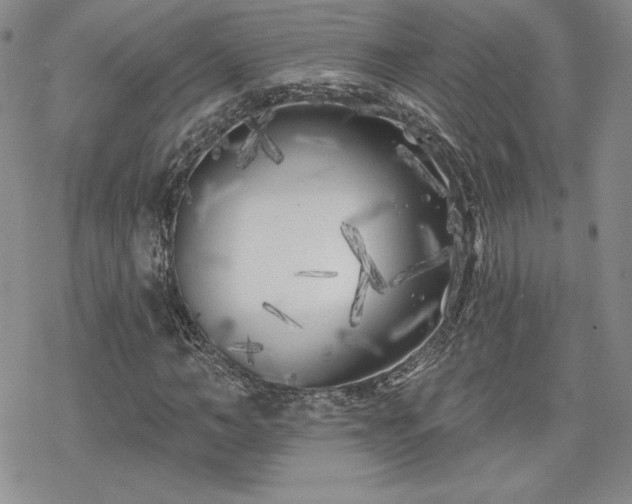 X0000070240966200606051121