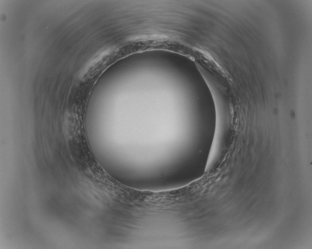 X0000070240967200606051121