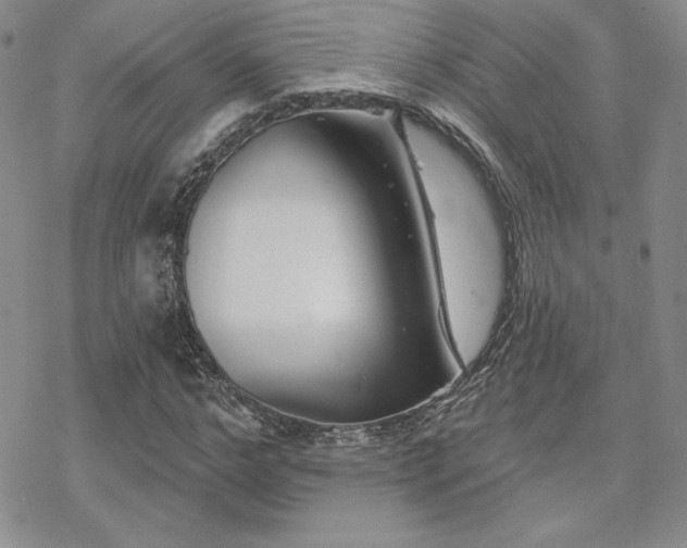 X0000070240968200606051121