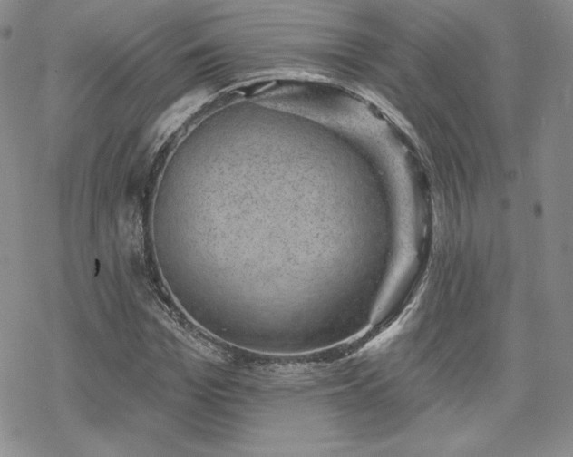 X0000070240969200606051121