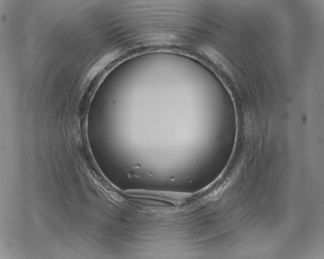 X0000070240970200606051121