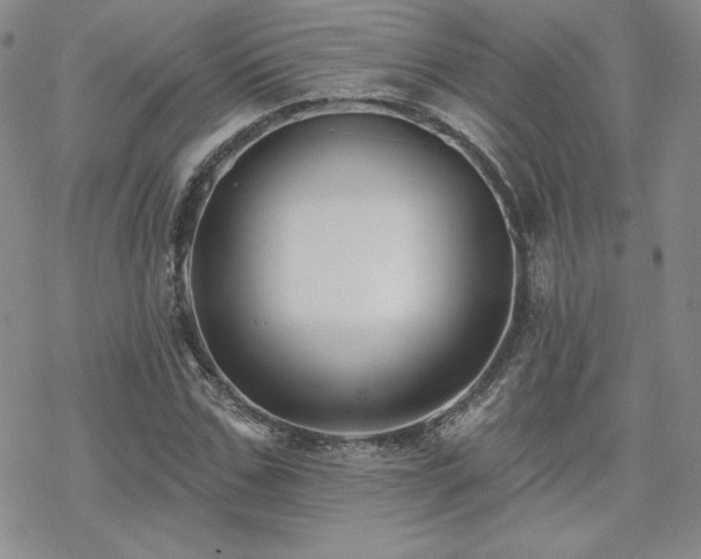 X0000070240971200606051121