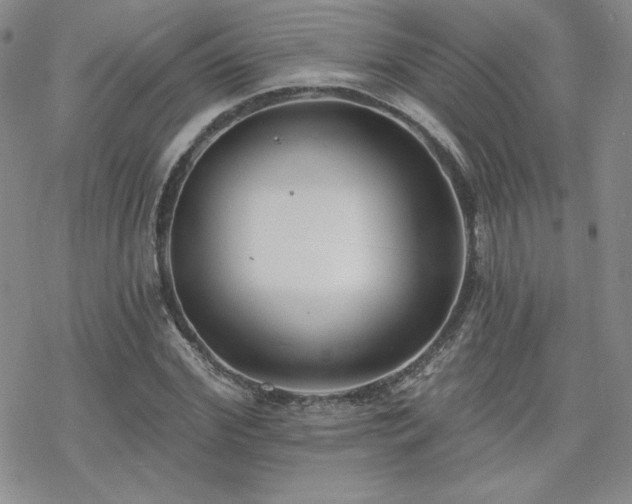 X0000070240972200606051121