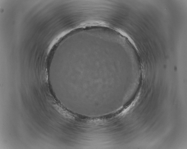 X0000070240973200606051120