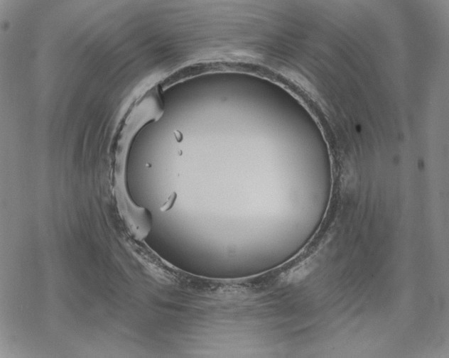 X0000070240974200606051120