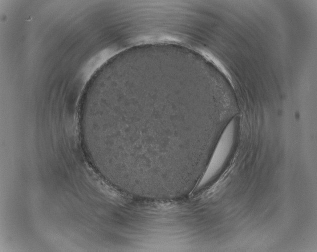 X0000070240975200606051120