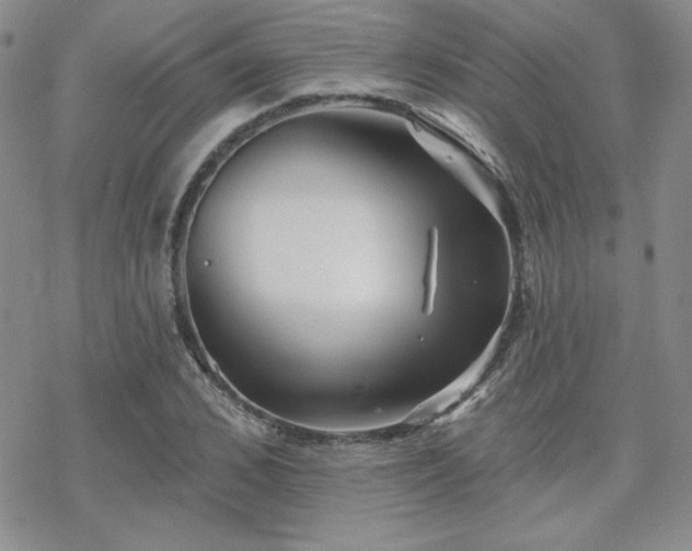 X0000070240976200606051120