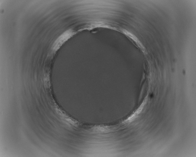 X0000070240977200606051120