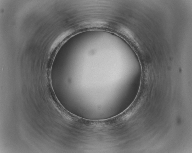 X0000070240978200606051120