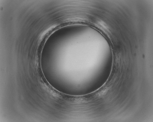 X0000070240979200606051120