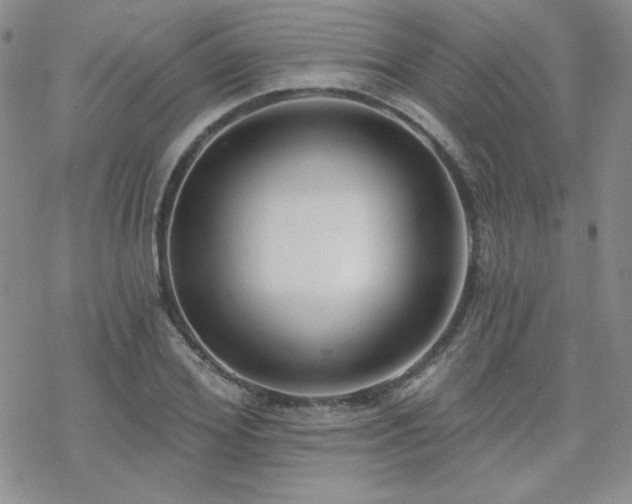 X0000070240980200606051120