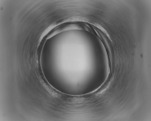 X0000070240981200606051120