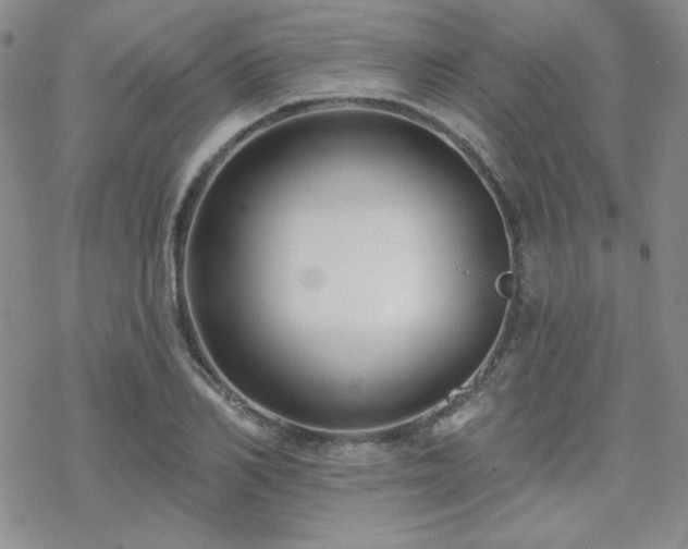 X0000070240982200606051120