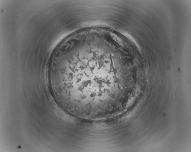 X0000070240983200606051120