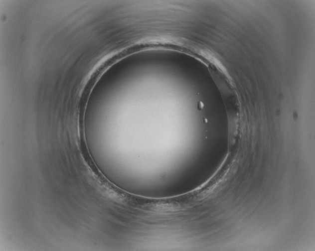 X0000070240984200606051120