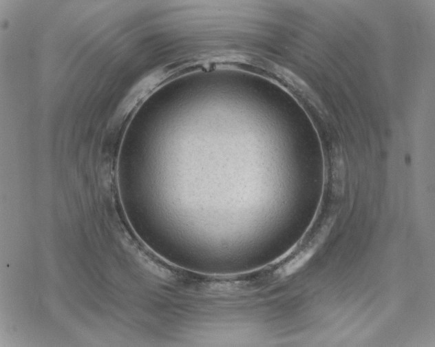 X0000070240985200606051120