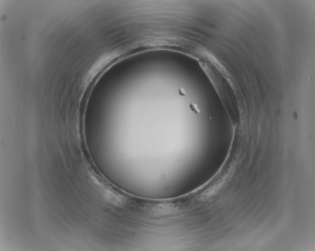 X0000070240986200606051120