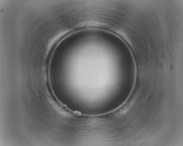 X0000070240987200606051120