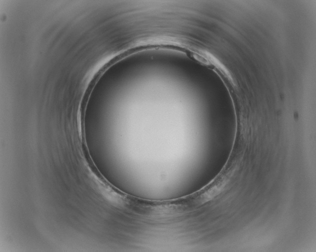 X0000070240988200606051120