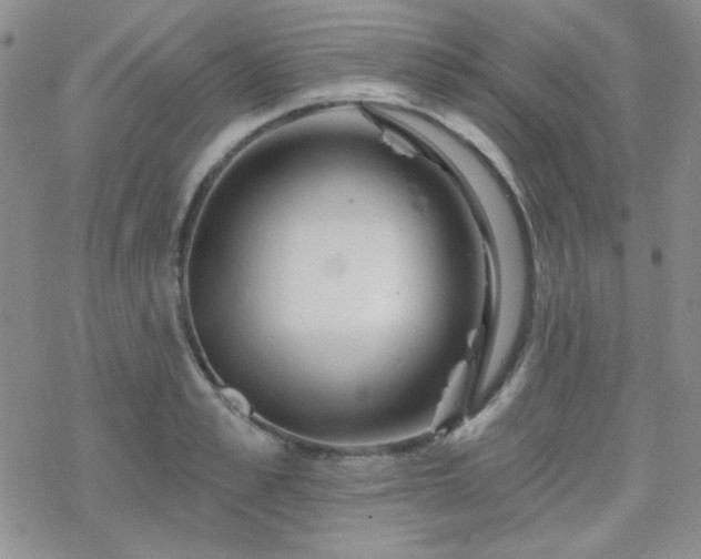 X0000070240989200606051120