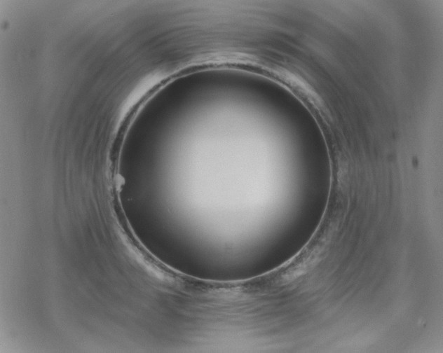 X0000070240990200606051120