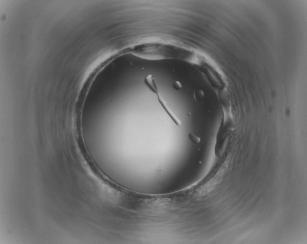 X0000070240991200606051120