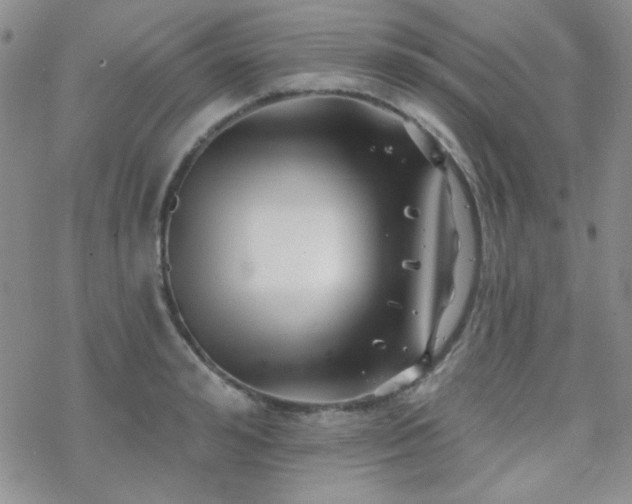 X0000070240992200606051120