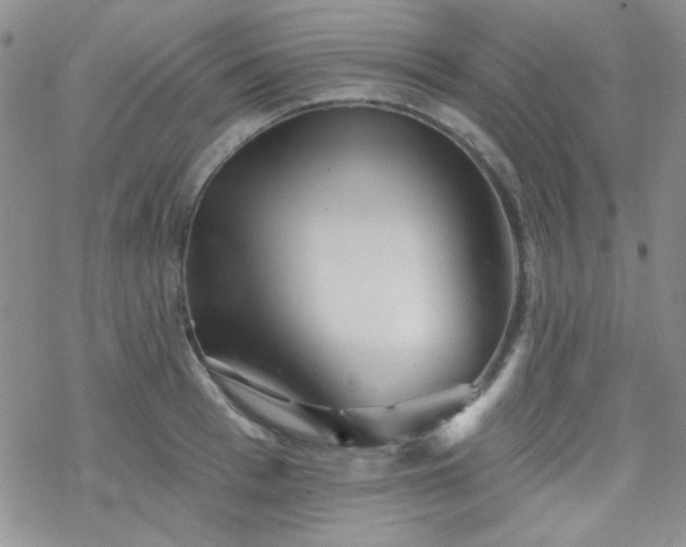 X0000070240993200606051120