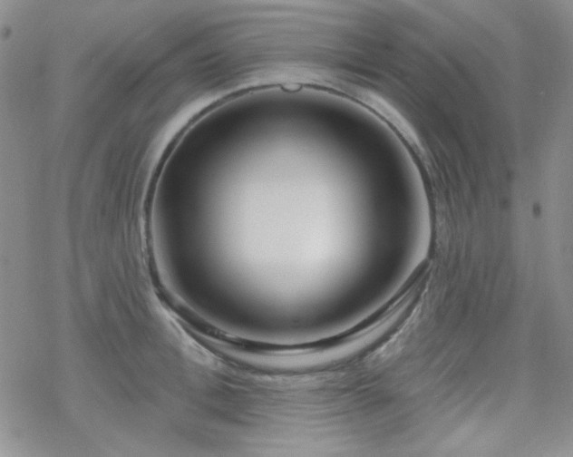 X0000070240996200606051120