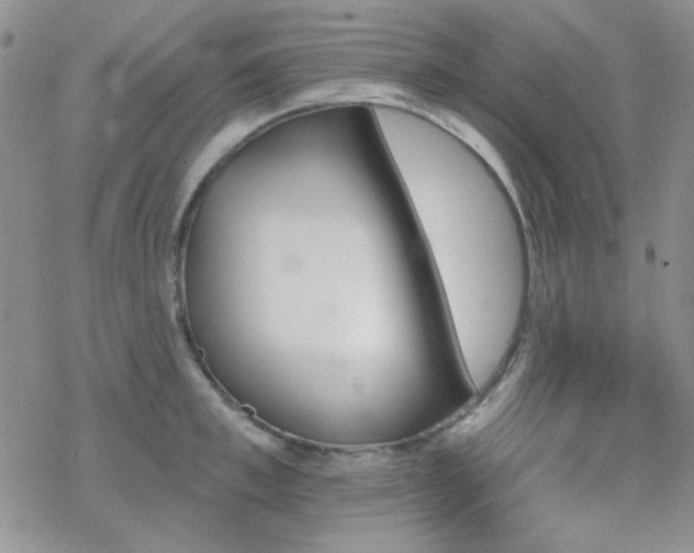 X0000070240997200606051120